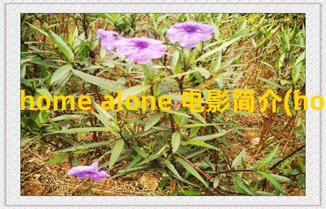 home alone 电影简介(home alone电影中的台词)